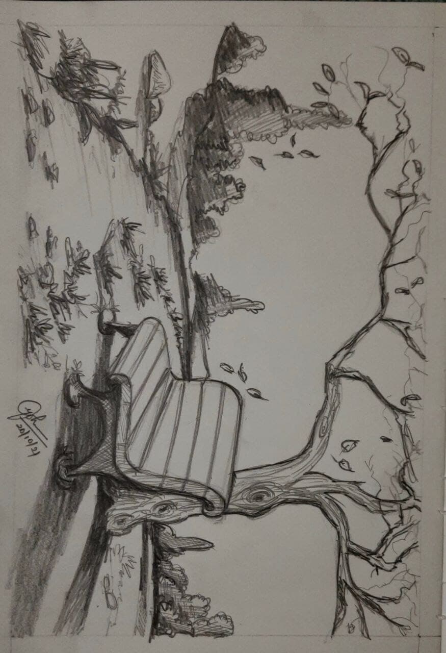 photo-16