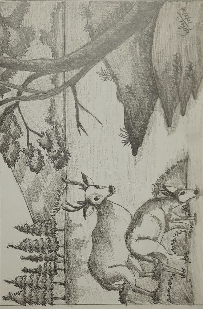 photo-25