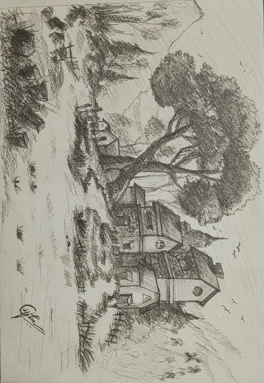 photo-11