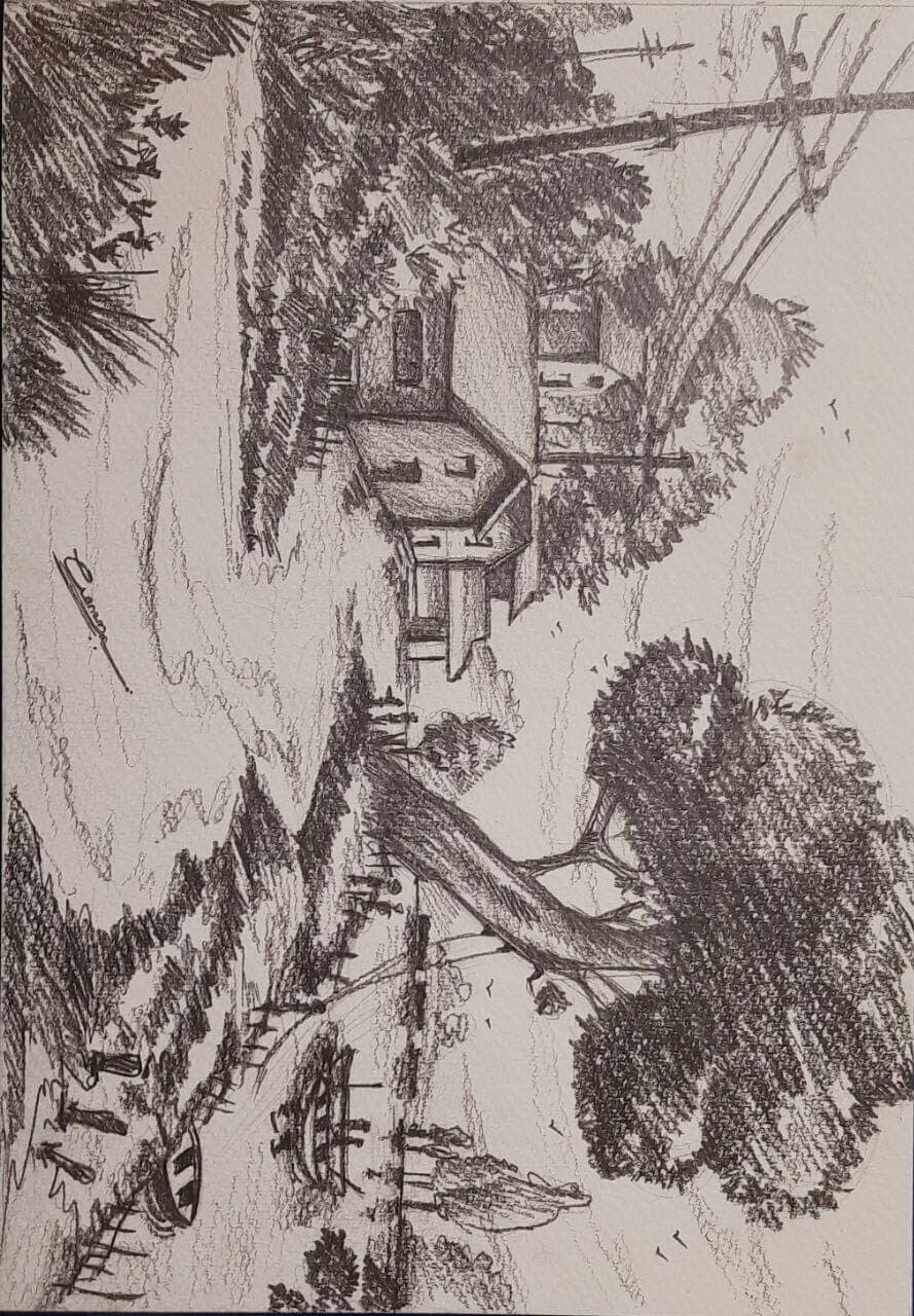 photo-12
